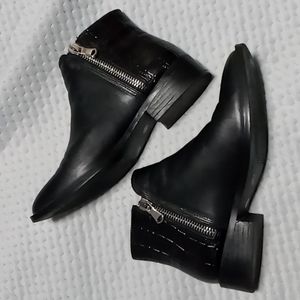Black Steven by Steve Madden Pointed-Toe Ankle Boots